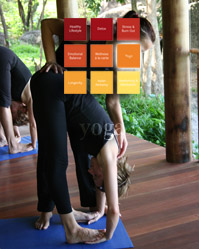 Yoga Thailand Koh Samui