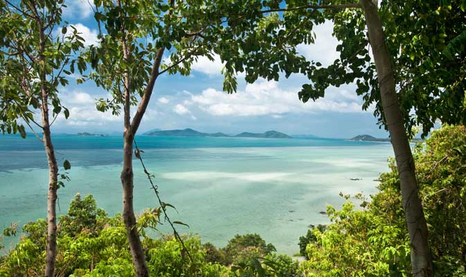 Functional thyroid test Koh Samui Thailand