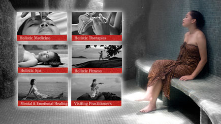 Wellness and holistic medicine Thailand